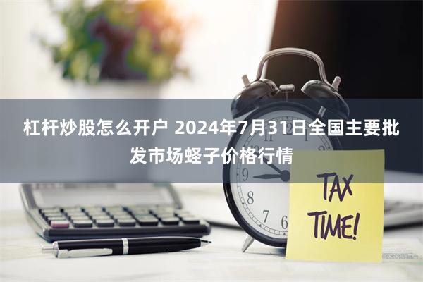 杠杆炒股怎么开户 2024年7月31日全国主要批发市场蛏子价格行情