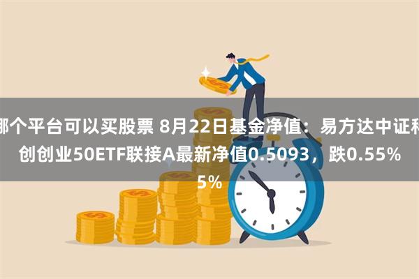 哪个平台可以买股票 8月22日基金净值：易方达中证科创创业50ETF联接A最新净值0.5093，跌0.55%