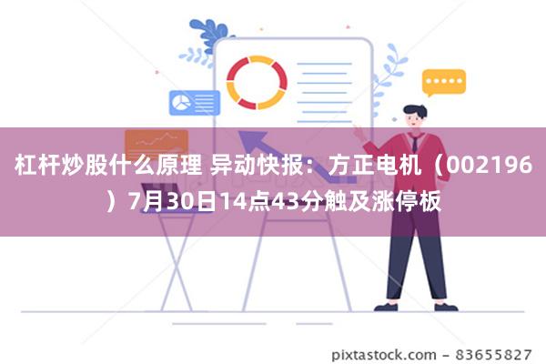 杠杆炒股什么原理 异动快报：方正电机（002196）7月30日14点43分触及涨停板