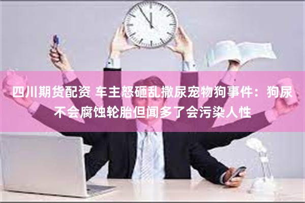 四川期货配资 车主怒砸乱撒尿宠物狗事件：狗尿不会腐蚀轮胎但闻多了会污染人性