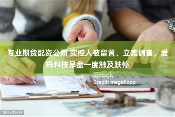 专业期货配资公司 实控人被留置、立案调查，爱玛科技早盘一度触及跌停