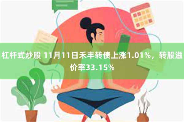 杠杆式炒股 11月11日禾丰转债上涨1.01%，转股溢价率33.15%