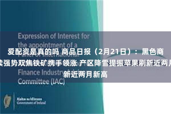 爱配资是真的吗 商品日报（2月21日）：黑色商品延续强势双焦铁矿携手领涨 产区降雪提振苹果刷新近两月新高