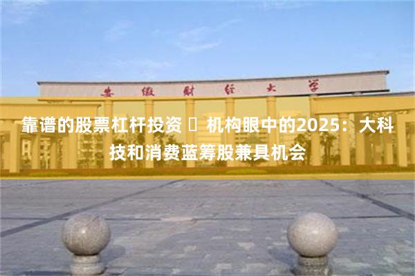 靠谱的股票杠杆投资 ​机构眼中的2025：大科技和消费蓝筹股兼具机会