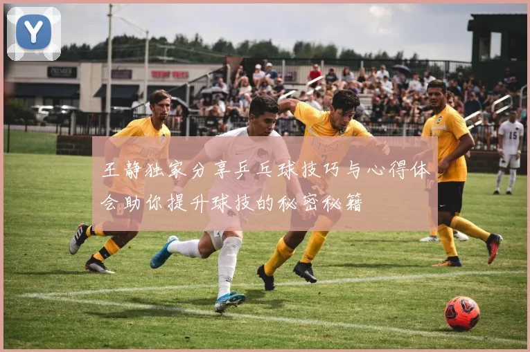 王静独家分享乒乓球技巧与心得体会助你提升球技的秘密秘籍