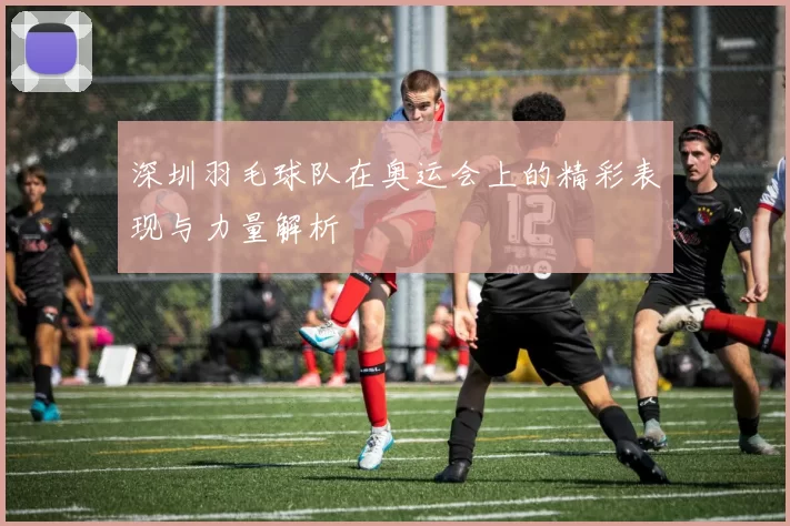 深圳羽毛球队在奥运会上的精彩表现与力量解析