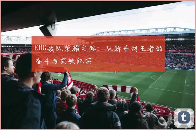 EDG战队荣耀之路：从新手到王者的奋斗与突破纪实