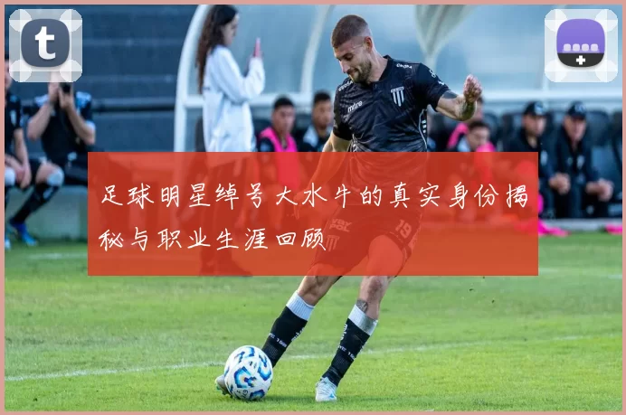 足球明星绰号大水牛的真实身份揭秘与职业生涯回顾