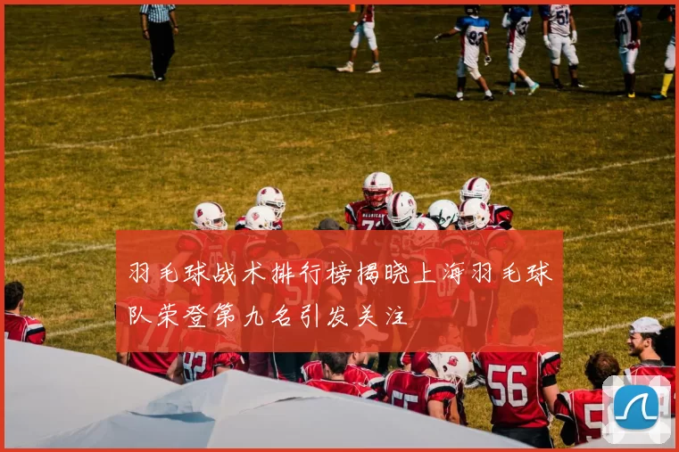 羽毛球战术排行榜揭晓上海羽毛球队荣登第九名引发关注