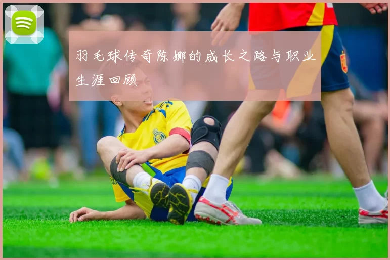 羽毛球传奇陈娜的成长之路与职业生涯回顾