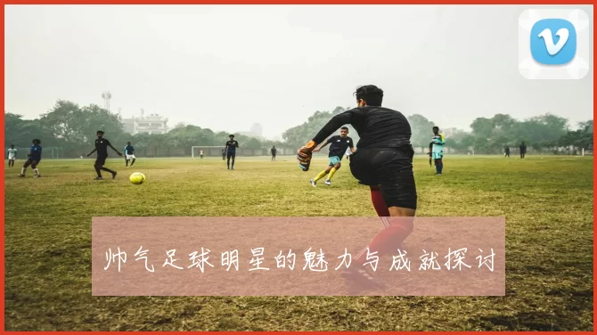 帅气足球明星的魅力与成就探讨