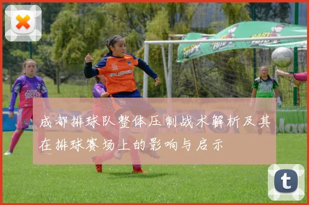 成都排球队整体压制战术解析及其在排球赛场上的影响与启示
