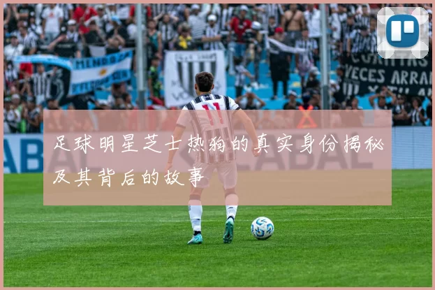 足球明星芝士热狗的真实身份揭秘及其背后的故事