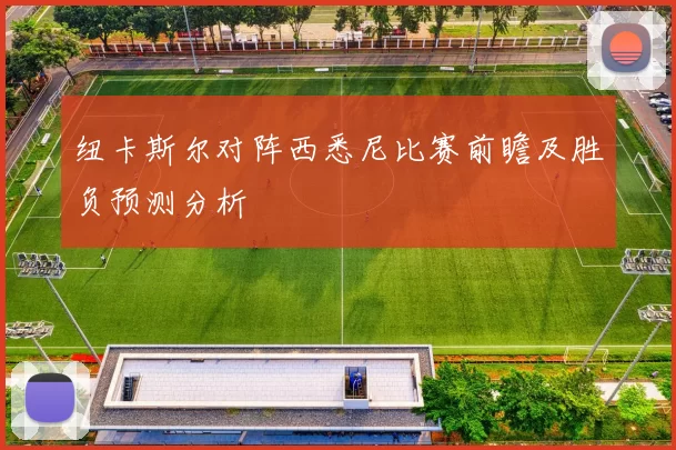 纽卡斯尔对阵西悉尼比赛前瞻及胜负预测分析