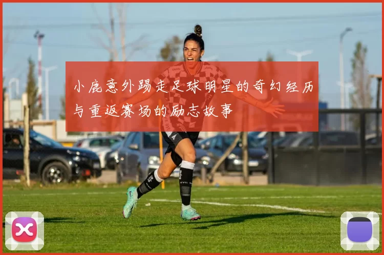 小鹿意外踢走足球明星的奇幻经历与重返赛场的励志故事