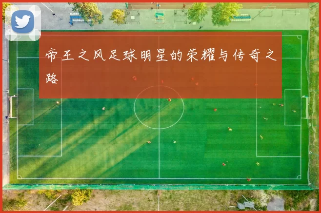帝王之风足球明星的荣耀与传奇之路