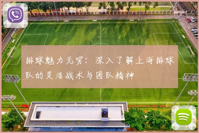 排球魅力无穷：深入了解上海排球队的灵活战术与团队精神